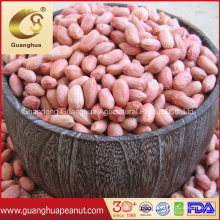 Factory Price Long Shape Peanut Kernels 20/24